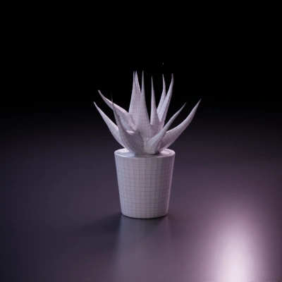 Potted plant, succulent with spiky leaves. cylindrical pots，separate petals,