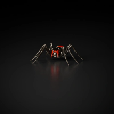 Black widow spider, dangerous and venomous 
totally black with red tail