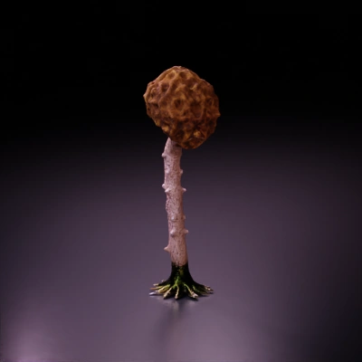 Tree with intricate honeycomb-like canopy.