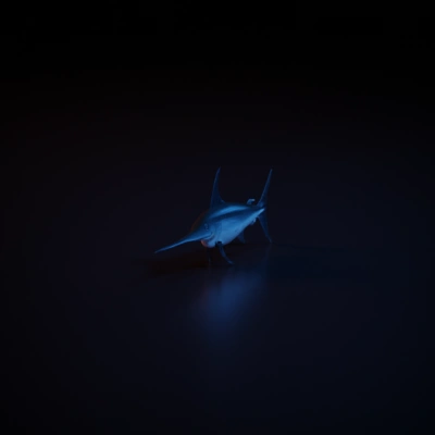 Swordfish, streamlined body.
