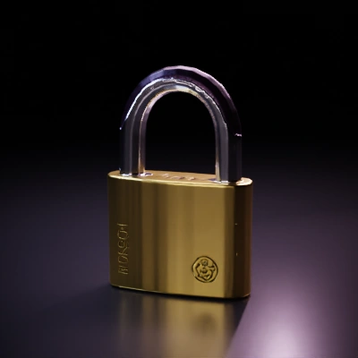 Metallic padlock with brand name, classic shape.