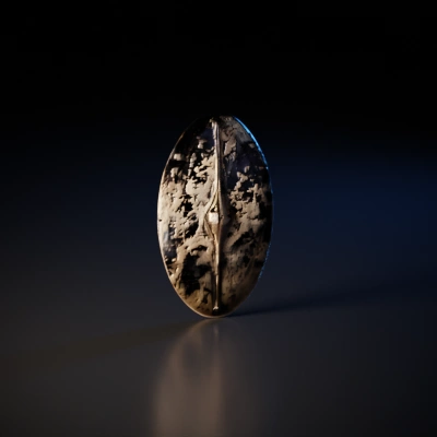 Ritualistic ancient shield of unknown origin.