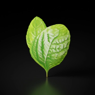 mint leaf.