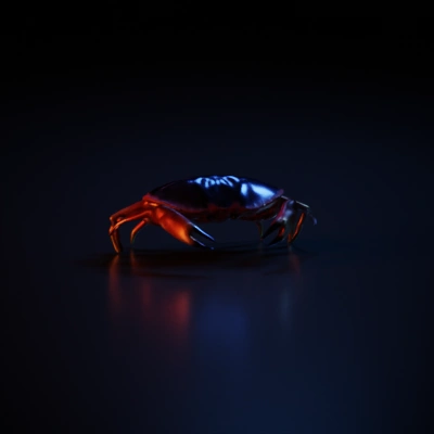 Crab, eight legs, detailed shell.