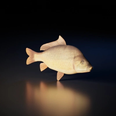 Fish with scales and fins, swimming posture.