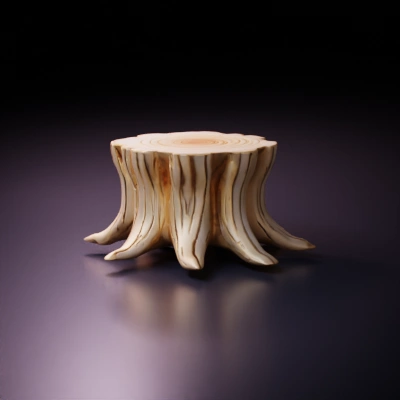 Tree stump with uneven surface, roots extending outward.