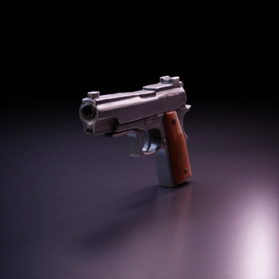 Asset 14