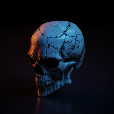 Human skull,stylized cracks and dirty details.