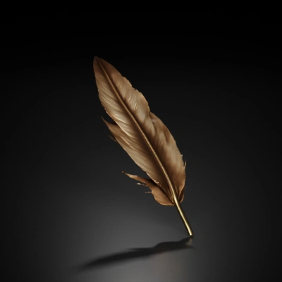 a finely detailed texture of a feather.