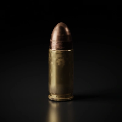 bullet with brass casing.