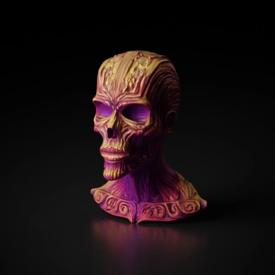 ornate anatomical human head bust.