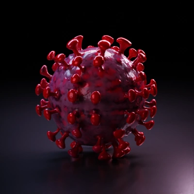 Virus-like structure, spiky projections, biological model.