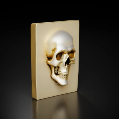 Human skull relief sculpture, rectangular background.