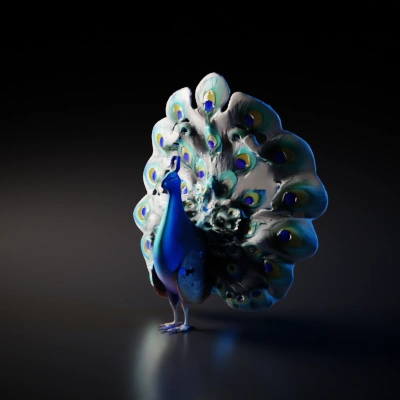 Peacock with fully displayed plumage.