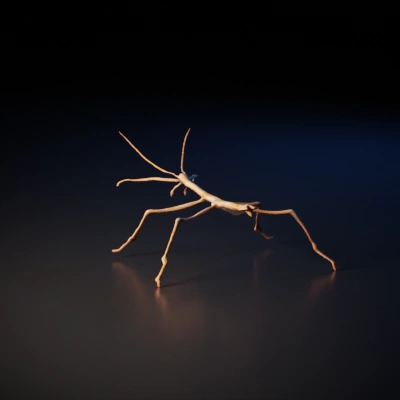 Large stick insect.