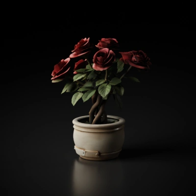Potted rose plant with flowers.