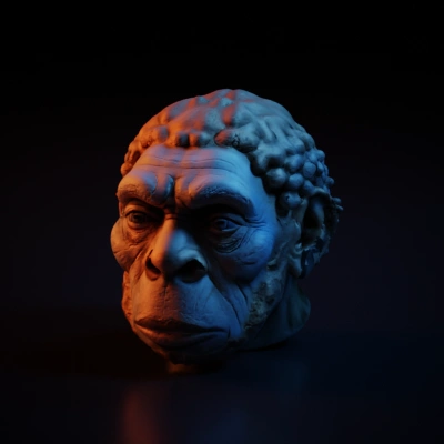 Hominid head sculpture, intricate facial details, textured hair.