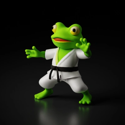 frog in martial arts uniform.