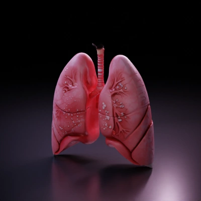 Detailed human lungs illustration.