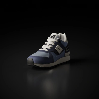 A single sneaker.