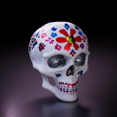 Decorated ornamental skull, floral patterns, festive.