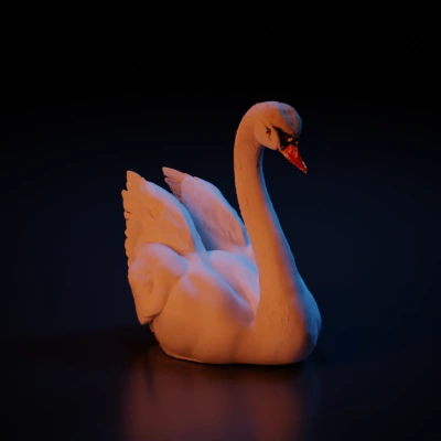 A white swan with raised wings.