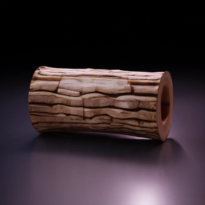 Log with hollow center, 3D model.