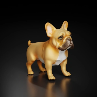 Bulldog with attentive expression, standing position.