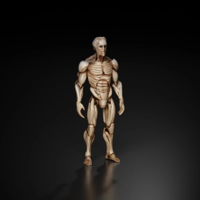 Muscular humanoid robot, detailed anatomy.