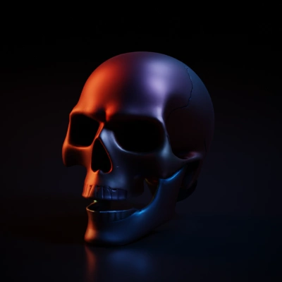 Human skull, digital rendering.