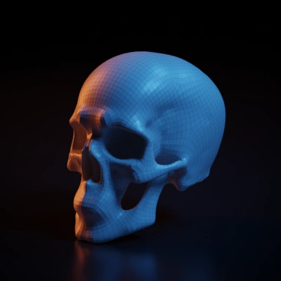 Human skull with realistic details.