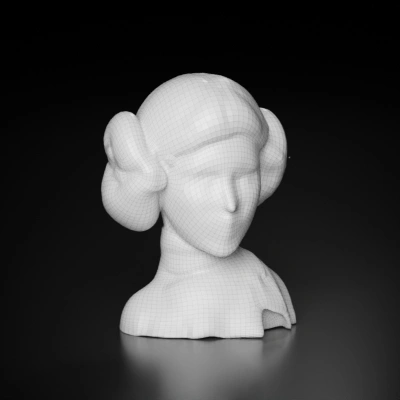 Woman with intricate hairstyle, detailed facial features.