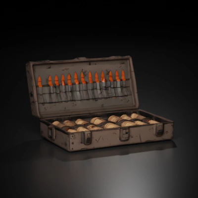 Bullet case with various sized bullets stored in compartments.