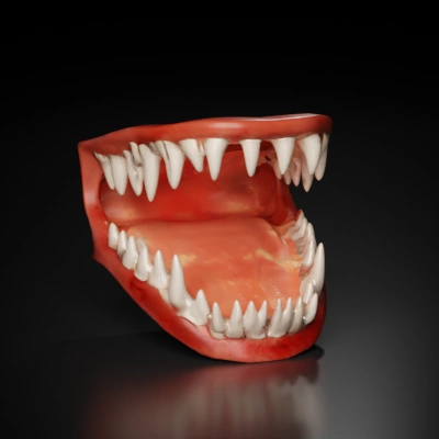 Monstrous jaws filled with sharp teeth.