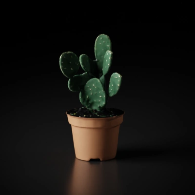 Potted cactus with multiple pads and spines.