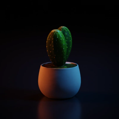 Potted cactus, indoor plant.