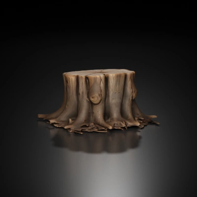 Tree stump with visible roots.