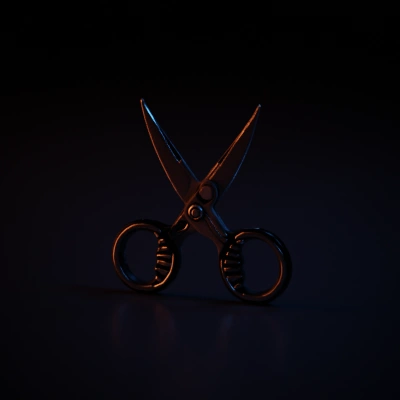 Scissors with ergonomic handles, sharp blades, open position.