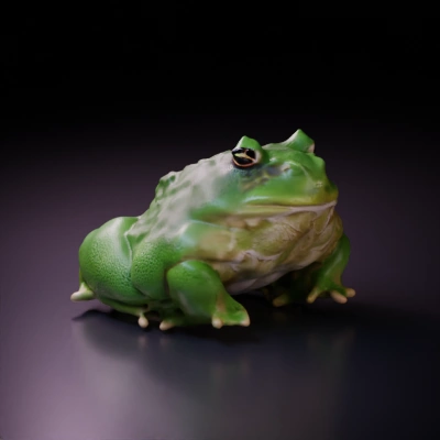 Close-up of a frog sitting stationary.