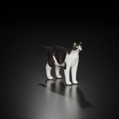 House cat, standing on four legs.
