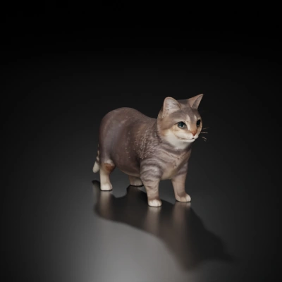 cute tabby cat.