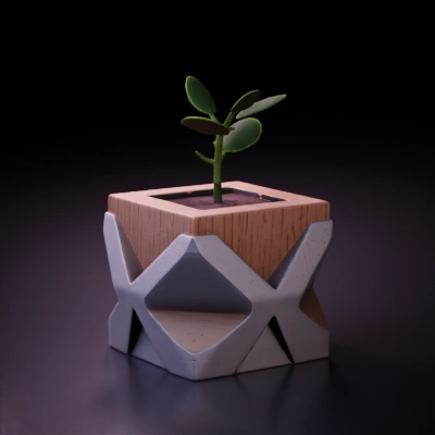 geometric planter with small plant.