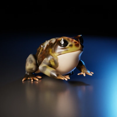 Realistic frog model, detailed texturing, life-like eyes.