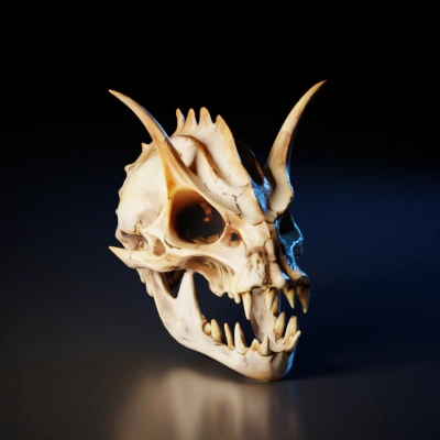Dragon skull, detailed, large horns, sharp teeth.