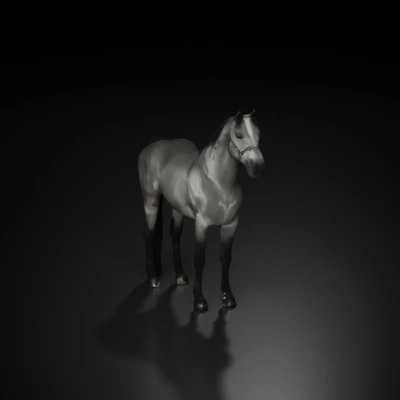 Horse, side view, standing still.