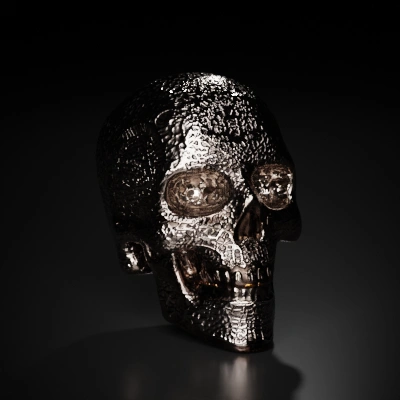 Ornate lace-like skull sculpture, intricate details, striking design.