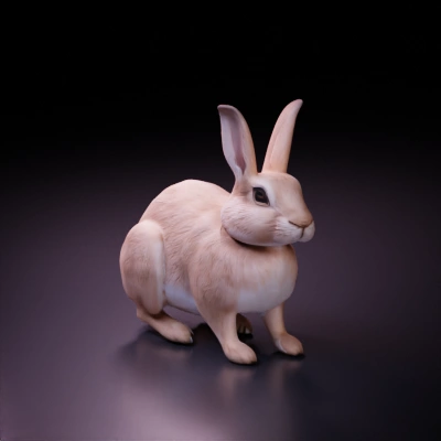 Realistic rabbit character, sitting, long ears.