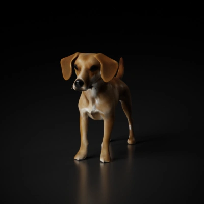 Dog, sitting and looking forward.
