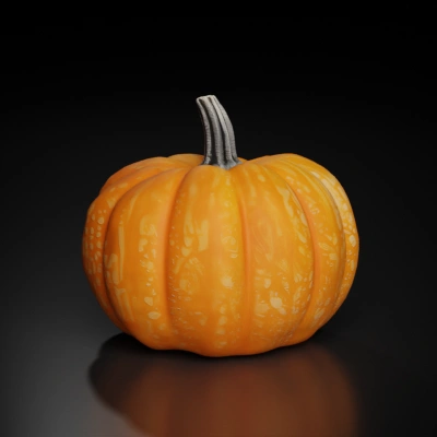 orange pumpkin with stem.