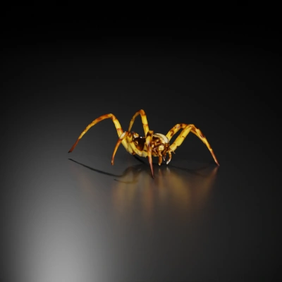 Spider-like creature, realistic horror design.